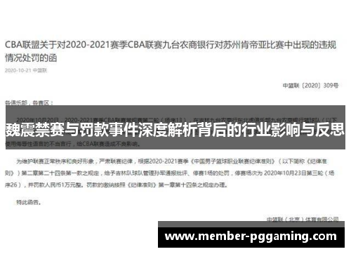 魏震禁赛与罚款事件深度解析背后的行业影响与反思