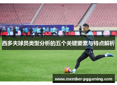 西多夫球员类型分析的五个关键要素与特点解析