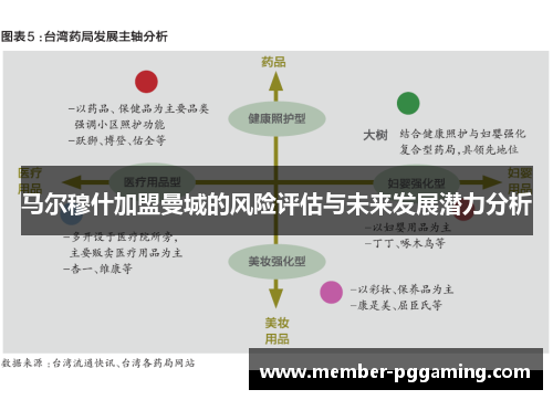 马尔穆什加盟曼城的风险评估与未来发展潜力分析