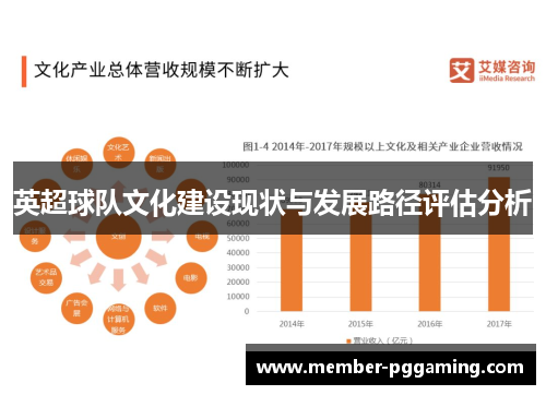 英超球队文化建设现状与发展路径评估分析